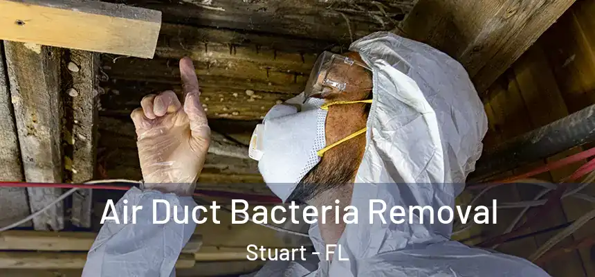Air Duct Bacteria Removal Stuart - FL