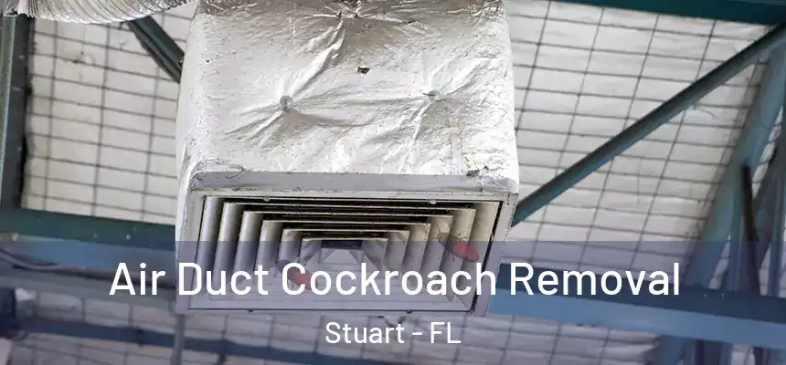Air Duct Cockroach Removal Stuart - FL