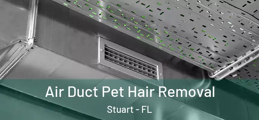 Air Duct Pet Hair Removal Stuart - FL