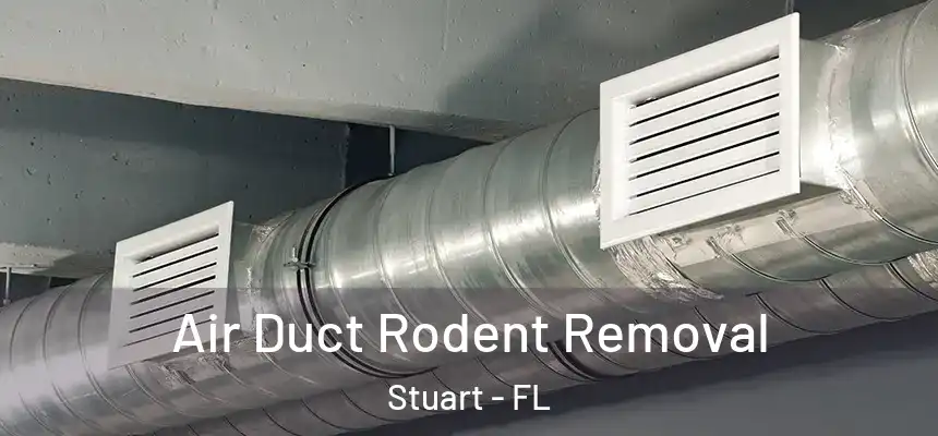 Air Duct Rodent Removal Stuart - FL