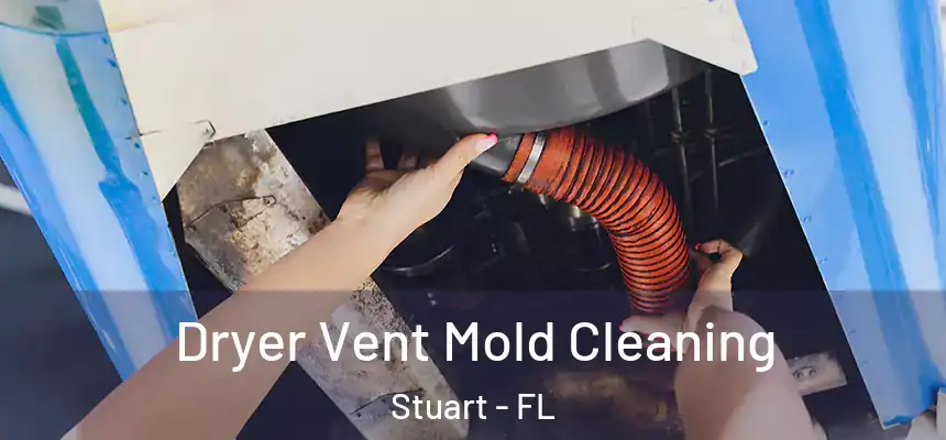 Dryer Vent Mold Cleaning Stuart - FL
