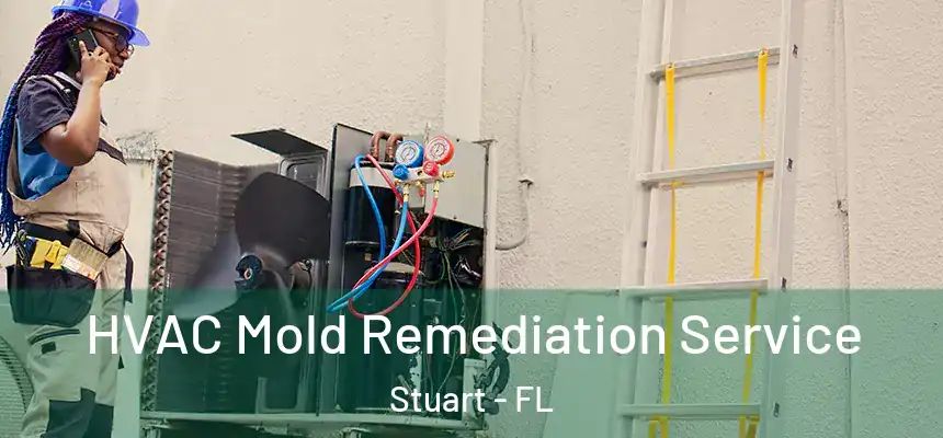 HVAC Mold Remediation Service Stuart - FL