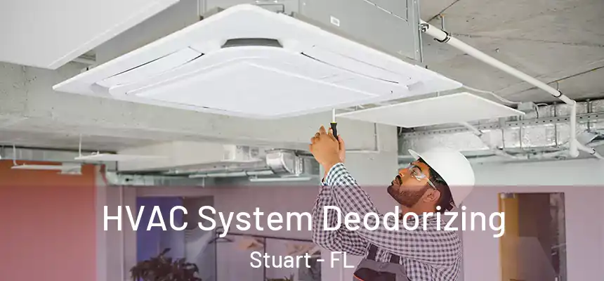 HVAC System Deodorizing Stuart - FL