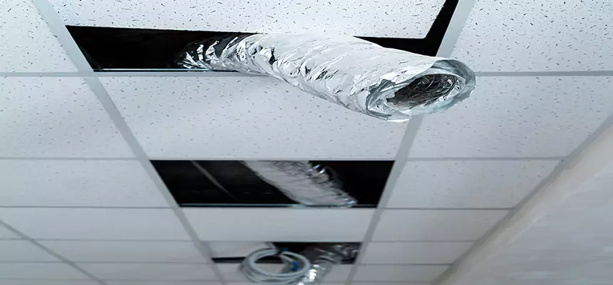 Our Air Duct Pet Hair Removal Services in Stuart, FL