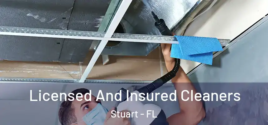 Licensed And Insured Cleaners Stuart - FL