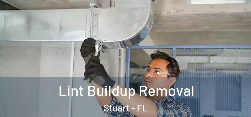 Lint Buildup Removal Stuart - FL