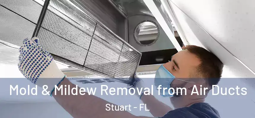 Mold & Mildew Removal from Air Ducts Stuart - FL