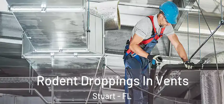 Rodent Droppings In Vents Stuart - FL
