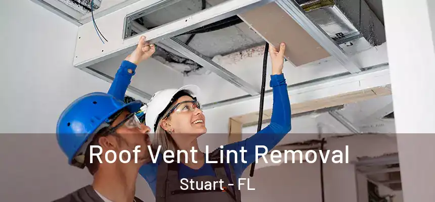 Roof Vent Lint Removal Stuart - FL