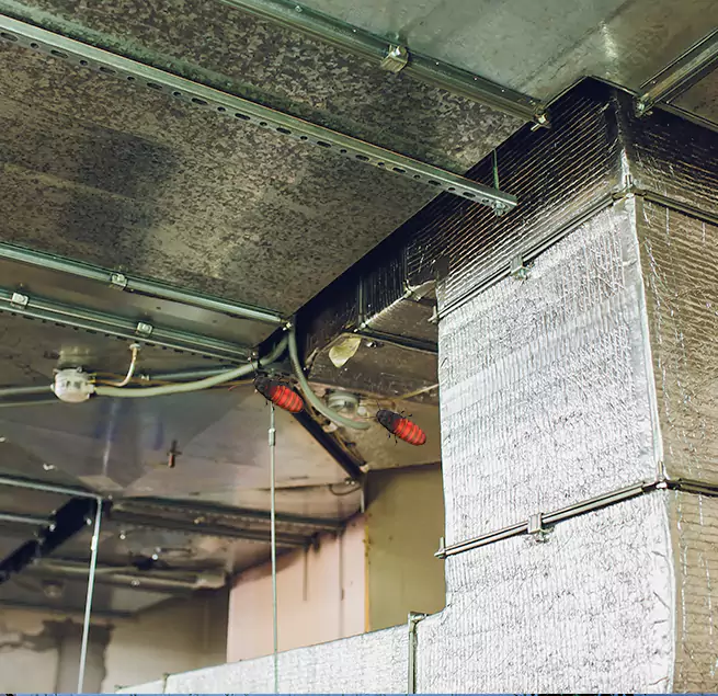 Why Homeowners & Businesses Trust Us Stuart, FL?